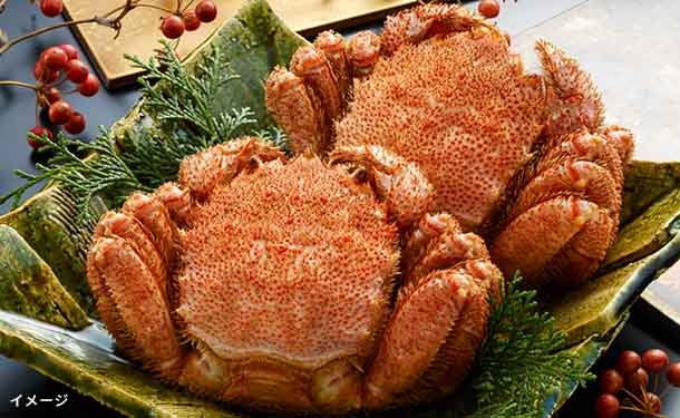 main01_187ce400-25a9-4892-9303-09897ce075dc