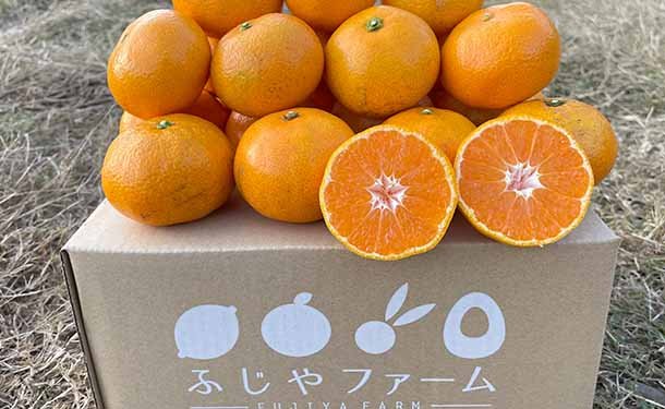 main01_1_84e7f578-aeff-4bc8-b71c-ac7b32752c18