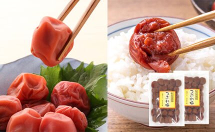 「紀州南高梅 つぶれ梅 Lサイズ はちみつ味（塩分7%）」400g