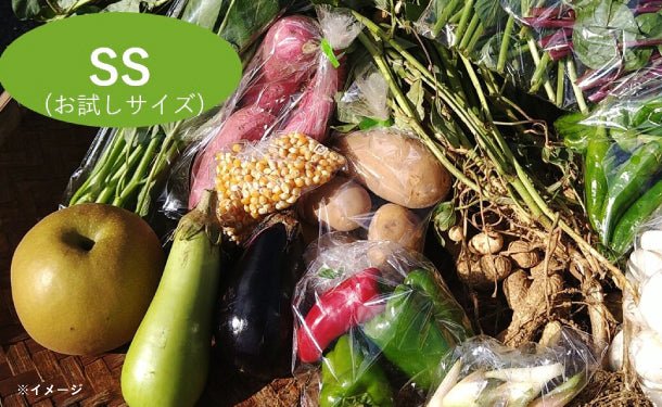 main01_1_cdcaf1d3-6c68-450e-b012-caa62c3bf4dd