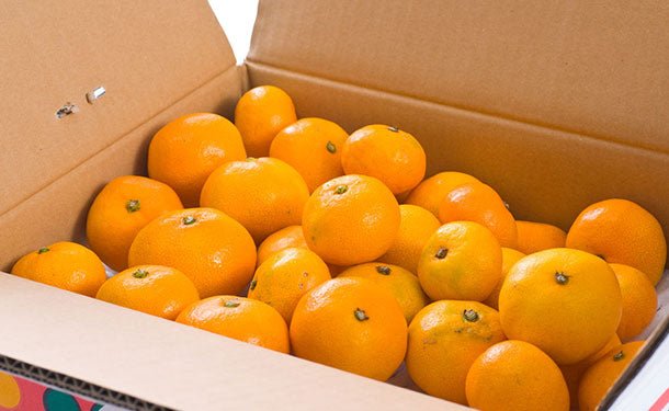 main01_1_e7d737d2-b5bb-4ba0-b5f2-781564243c92