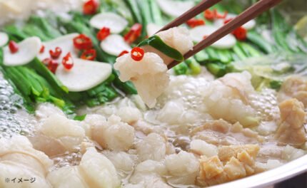 「博多明太もつ鍋セット 3～4人前」