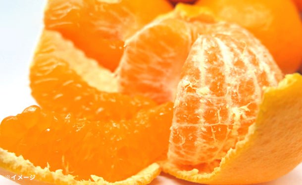 main01_298b0a1e-f995-4f15-a658-079901ae8839