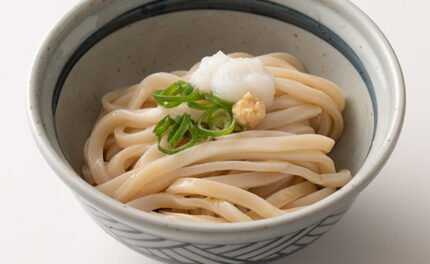 「讃岐生うどん（極太麺）つゆ付き」