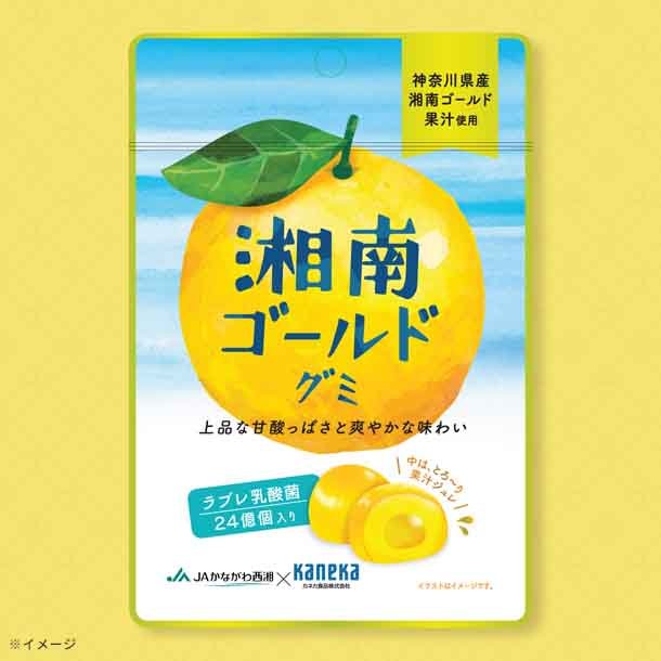 main01_34_16e92bad-9678-4c7c-babc-0143fe20b0e0