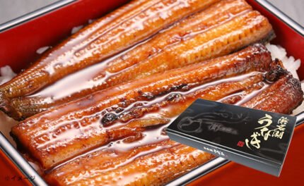 「浜松・浜名湖うなぎ蒲焼（110g）セット」