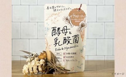 「酵母と乳酸菌」120粒