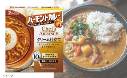 ハウス食品「バーモントカレーシェフズアレンジ クリーム仕立て」2〜3皿分