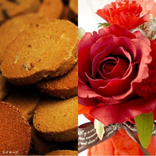 main01_79_98e0d515-2b82-4648-bbba-f99c677049bd