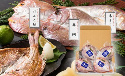 「低温熟成!干物3種詰め合わせ」