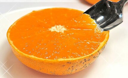 愛媛県産「訳あり せとか(2L〜5L)」約5kg