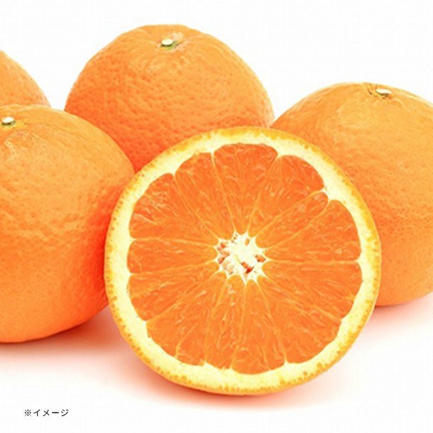 main01_95_1b0f8ee8-0392-44fc-9e5a-7a270b548394