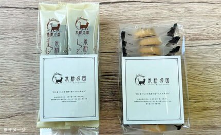 「米粉とカカオのしっとり濃厚ガトーショコラ（5本入×2袋）と米粉クッキー（24枚）のセット」