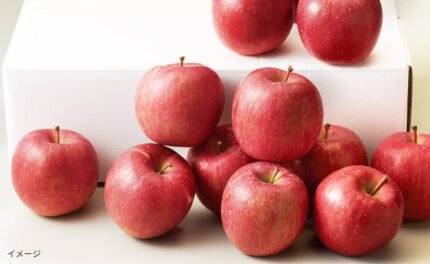四戸農園 青森県産「特選葉とらずサンふじ」4kg（13玉前後）