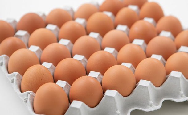 main01_e14e6fce-7898-43c4-9a7c-2584b0759ec0