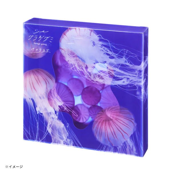 main02-2024-12-20T083142.477