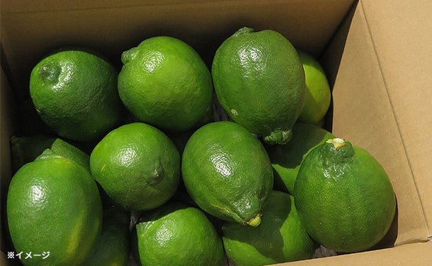 main02_1292d181-dab1-4bec-a83f-fdbcda4e9633