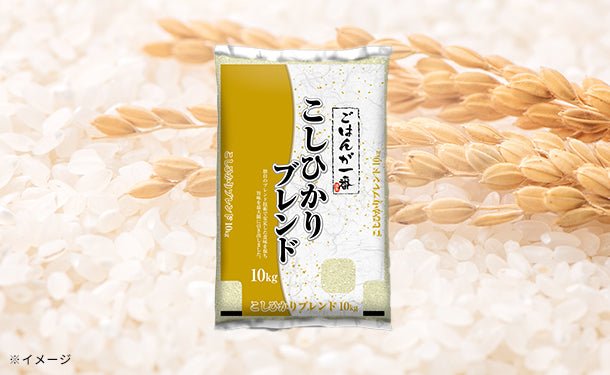 main02_1_0df3d516-5df1-4638-8e45-3b8f56e19da9