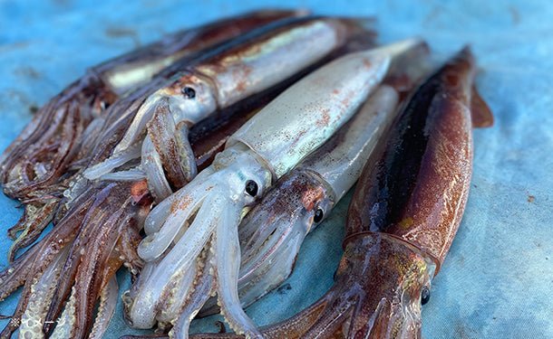 main03-2023-08-10T101504.874