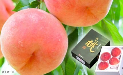 佐賀県産「ハウス桃 3～6玉 化粧箱入」1kg