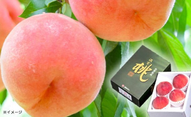 main03-2024-04-17T094906.402