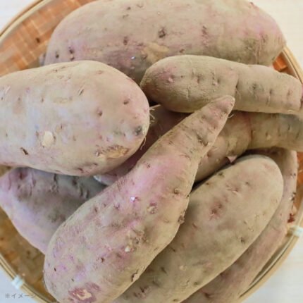 【Kuradashiオリジナル】千葉県産 ふぞろい 土付き 紅はるか 60サイズ箱