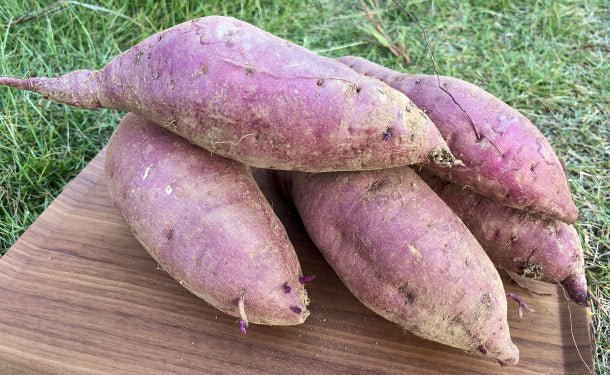 main03_202311_0052_005867cb-6131-4358-9f10-52e2cb803387