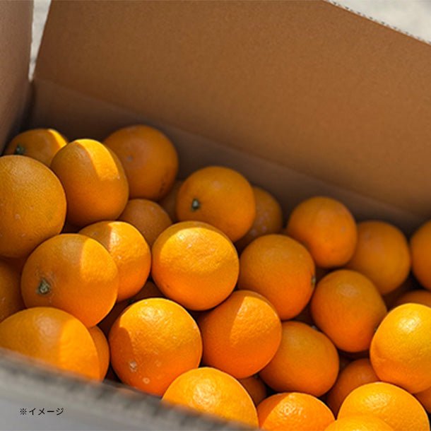 main03_63_07a3284d-c900-4113-b977-68465c7dfb6f