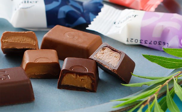 main05-2023-07-27T155700.814